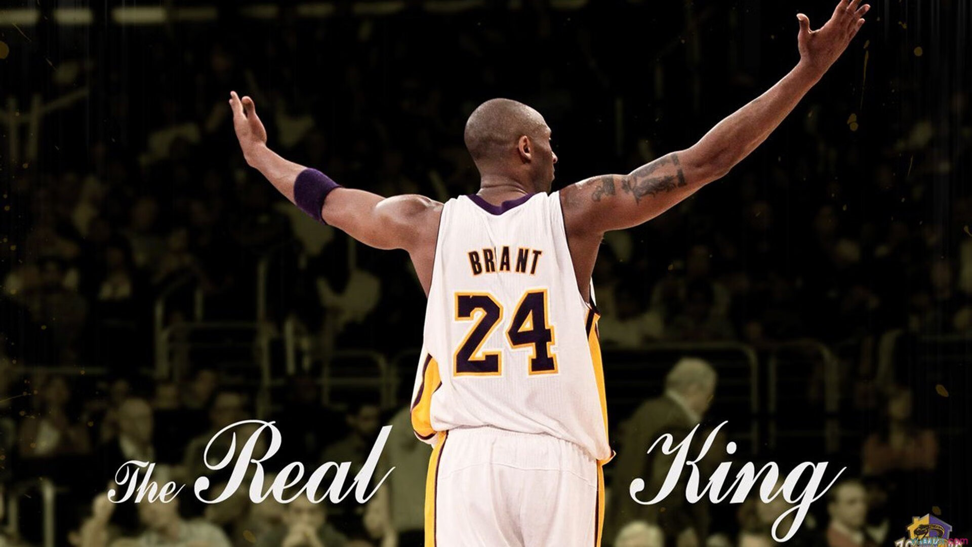 德甲争冠战与非洲杯奇迹，当足球世界的焦点在两条平行线上燃烧